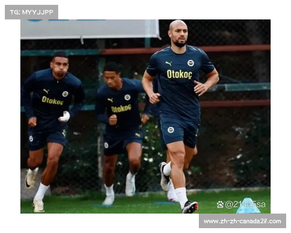 费内巴切足球俱乐部的历史与现状