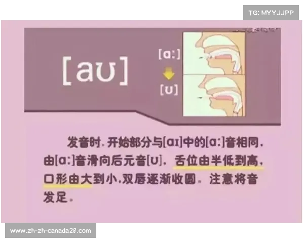 音标 ae 的发音解析与应用